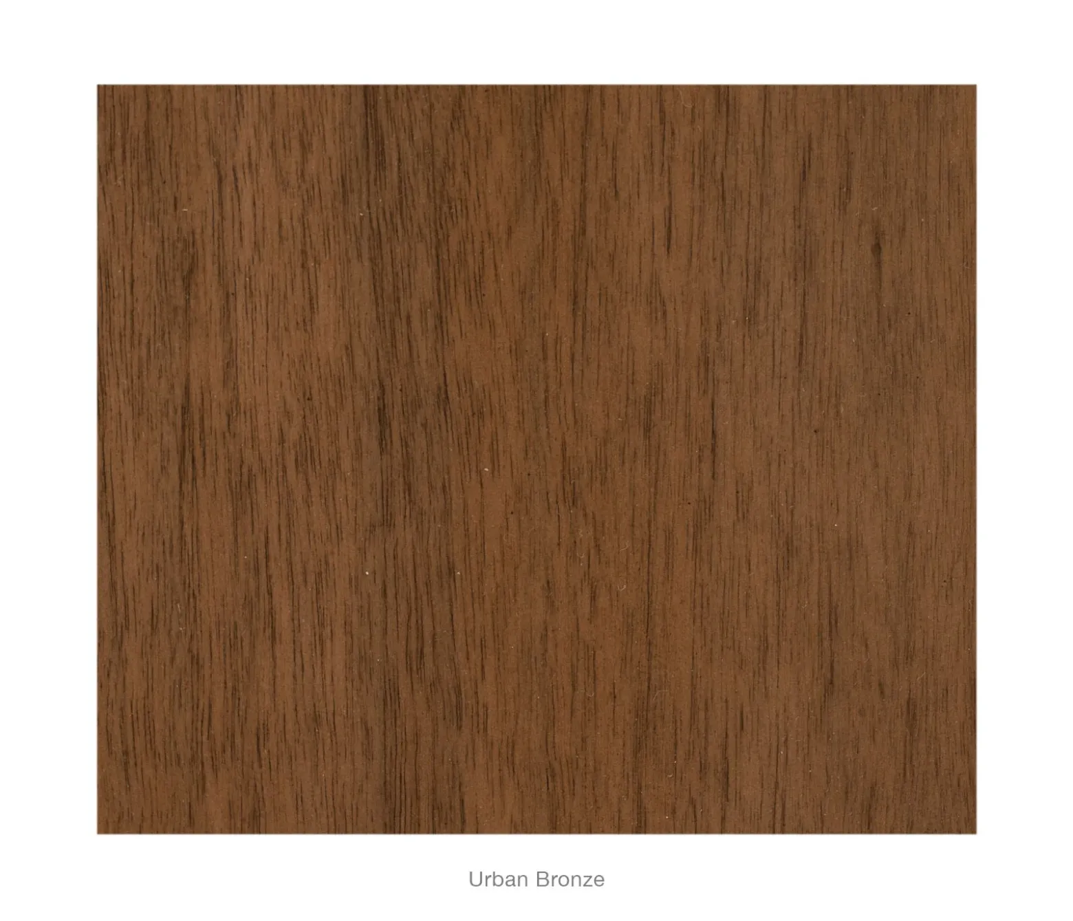 Barker 2-Door Cabinet