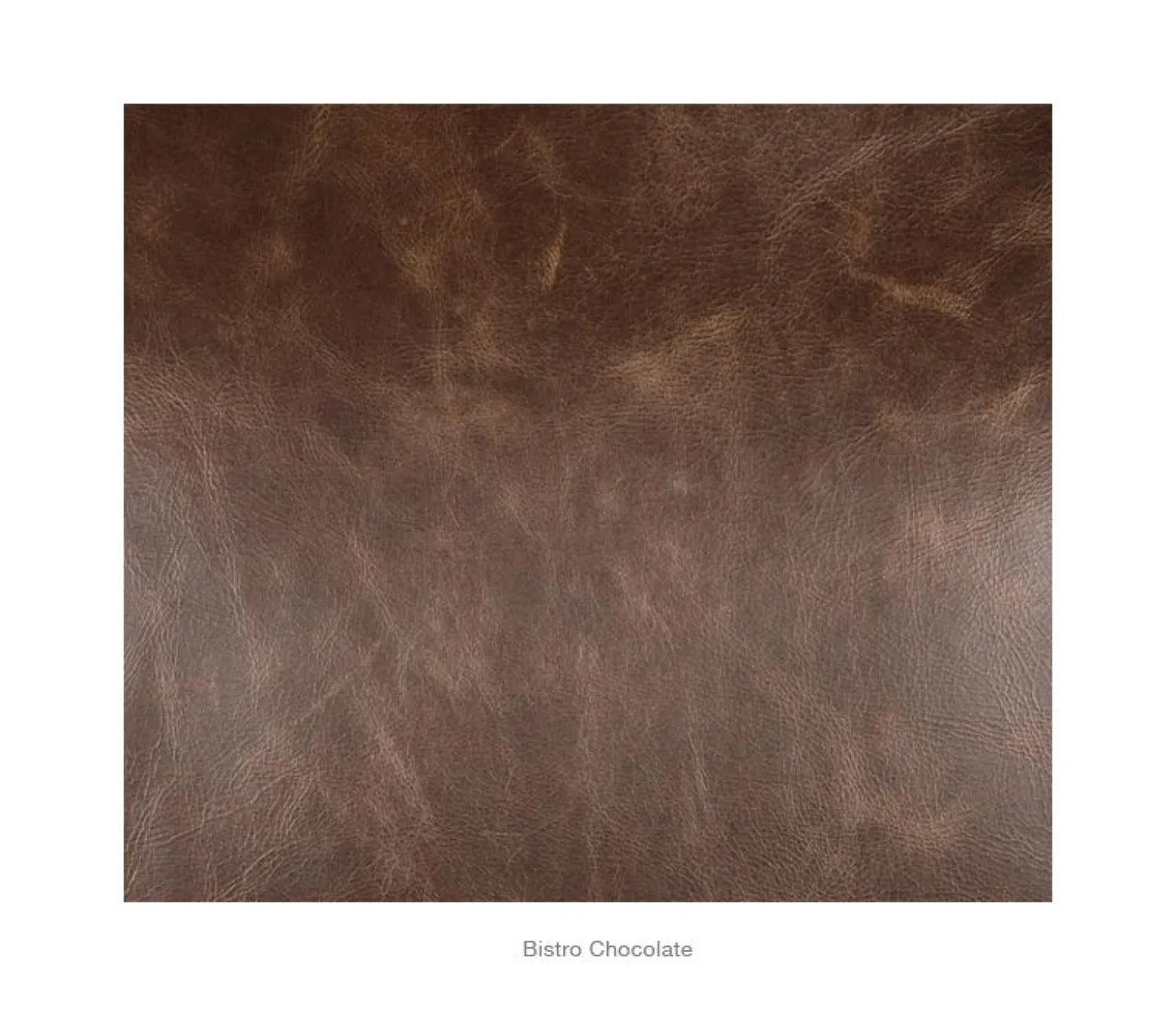 Boudreau Leather Chair - Bistro Chocolate