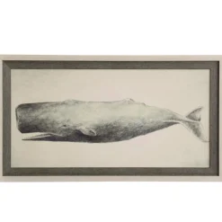 Classic Whale Framed Print
